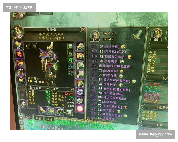 魔兽世界头盔等级数据展示：揭秘装备实力